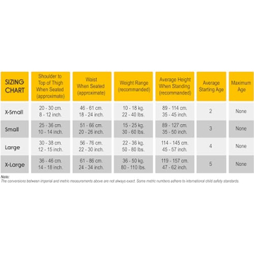 RideSafer Large Blue Lightweight Compact Travel Car Seat