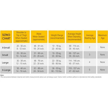 RideSafer Large Blue Lightweight Compact Travel Car Seat