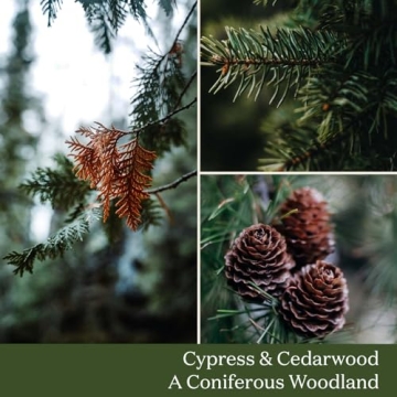 LA JOLIE MUSE Cedarwood Candle for Holiday Gifts