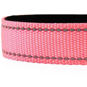 Joytale Reflective Dog Collar for Small Dogs - Safety & Style