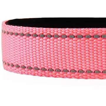 Joytale Reflective Dog Collar for Small Dogs - Safety & Style