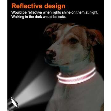 Joytale Reflective Dog Collar for Small Dogs - Safety & Style