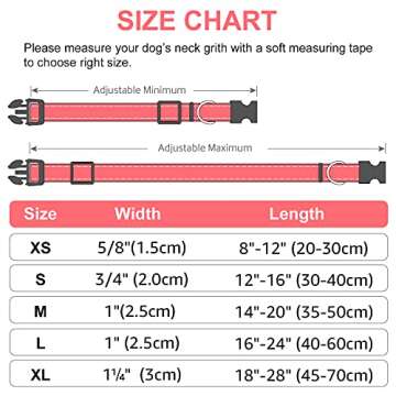 Joytale Reflective Dog Collar for Small Dogs - Safety & Style