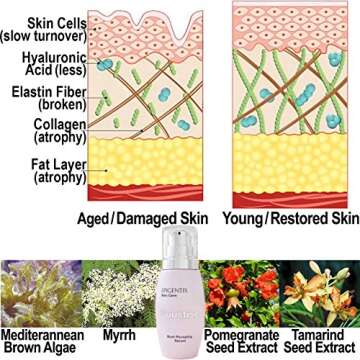 Firming Breast-Enlargement Cream ORGANIC QuadraPLUMP Fat Trapping + Lifting Tightening Actives - 2 Month Supply - Natural Bust Enhancement Plumping Lotion - Made In Canada BOUSTISE 2.7oz