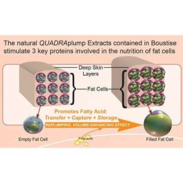 Firming Breast-Enlargement Cream ORGANIC QuadraPLUMP Fat Trapping + Lifting Tightening Actives - 2 Month Supply - Natural Bust Enhancement Plumping Lotion - Made In Canada BOUSTISE 2.7oz