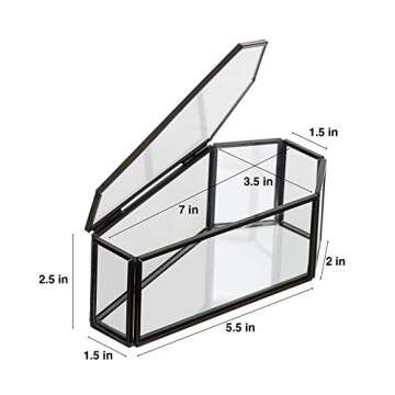 Claimed Corner Glass Coffin Display Box - 7.2" x 3.6" x 2.5" - Decorative Display Terrarium Case wit...