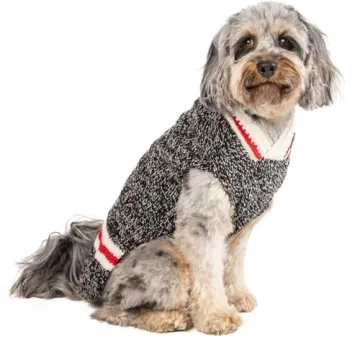 Boyfriend Dog Sweater Crafted from Natural Wool