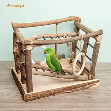 Natural Wood Bird Play Stand for Cockatiels and Budgies