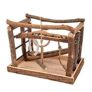 Natural Wood Bird Play Stand for Cockatiels and Budgies