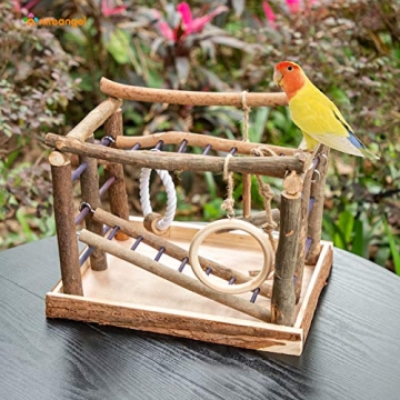 Natural Wood Bird Play Stand for Cockatiels and Budgies