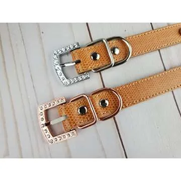 Elegant Wedding Flower Dog Collar with Matching Leash