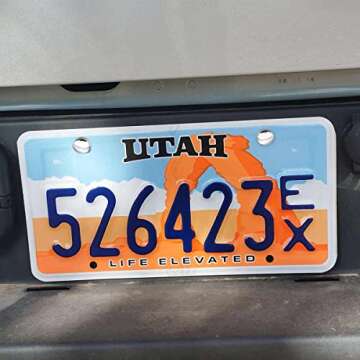 Secure License Plate Screws for Cars - Anti Theft Protection