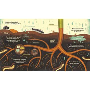 What's Inside A Flower?: And Other Questions About Science & Nature