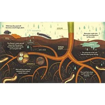 What's Inside A Flower?: And Other Questions About Science & Nature