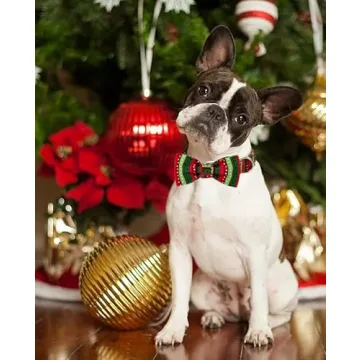 LIONET Paws Christmas Dog Collar & Bowtie, Adjustable