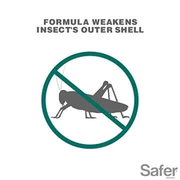 Safer 5118-6 Insect Killing Soap Concentrate - Insecticidal Soap for Plants - Kills Aphids, Whiteflies, Thrips, Spider Mites, and More - OMRI Listed for Organic Use - 6 Pack