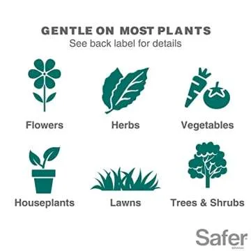 Safer 5118-6 Insect Killing Soap Concentrate - Insecticidal Soap for Plants - Kills Aphids, Whiteflies, Thrips, Spider Mites, and More - OMRI Listed for Organic Use - 6 Pack