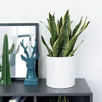 8 Inch Glazed Ceramic Indoor Planter Pot - Modern Large Cylinder Container with Watering Drainage Rubber Plug - Fits Succulents, Flowers or Bonsai Shiny White