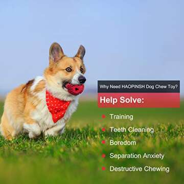 HAOPINSH Small Dog Chew Toys, Treat Dispenser Toy for Small Breed Dogs and Puppies, Rubber Interactive Dog Toys Dog Treat Dispensing Toy for Teeth Cleaning Training Chewing and Playing…