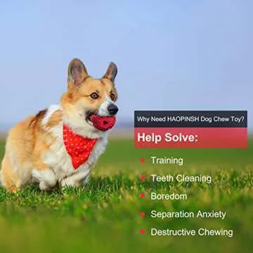 HAOPINSH Small Dog Chew Toys, Treat Dispenser Toy for Small Breed Dogs and Puppies, Rubber Interactive Dog Toys Dog Treat Dispensing Toy for Teeth Cleaning Training Chewing and Playing…