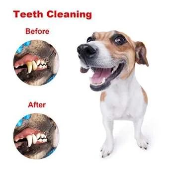 HAOPINSH Small Dog Chew Toys, Treat Dispenser Toy for Small Breed Dogs and Puppies, Rubber Interactive Dog Toys Dog Treat Dispensing Toy for Teeth Cleaning Training Chewing and Playing…