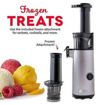 DASH Deluxe Compact Masticating Slow Juicer, Easy to Clean Cold Press Juicer with Brush, Pulp Measuring Cup, Frozen Attachment and Juice Recipe Guide - Graphite