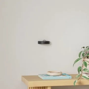 HAMVIDNE Wireless LED Spotlight with Remote Control for Home