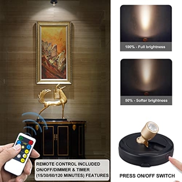HAMVIDNE Wireless LED Spotlight with Remote Control for Home