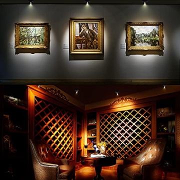 HAMVIDNE Wireless LED Spotlight with Remote Control for Home