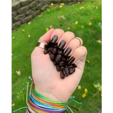 Vegan Holiday Nail Polish Set of 3 Gift 2024