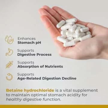 Premier HCL - Supports Nutrient Absorption & Digestion - 90 Capsules