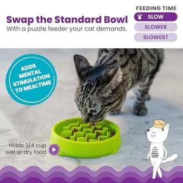 Petstages Kitty Slow Feeder Bowl for Fast Eaters