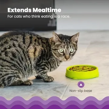 Petstages Kitty Slow Feeder Bowl for Fast Eaters