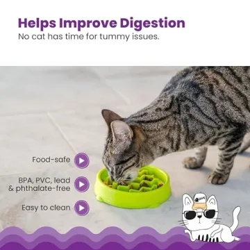 Petstages Kitty Slow Feeder Bowl for Fast Eaters