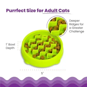 Petstages Kitty Slow Feeder Bowl for Fast Eaters