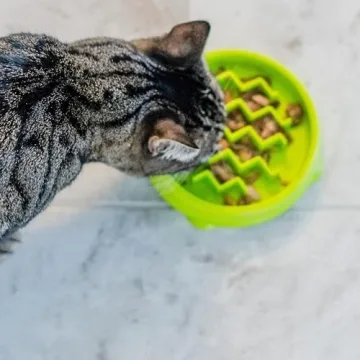 Petstages Kitty Slow Feeder Bowl for Fast Eaters