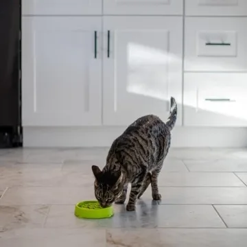 Petstages Kitty Slow Feeder Bowl for Fast Eaters