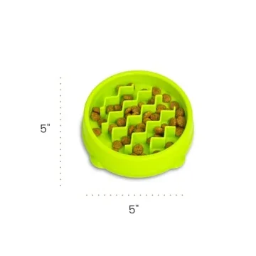 Petstages Kitty Slow Feeder Bowl for Fast Eaters