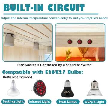 Royxen Large Bearded Dragon Tank with Bulb Sockets