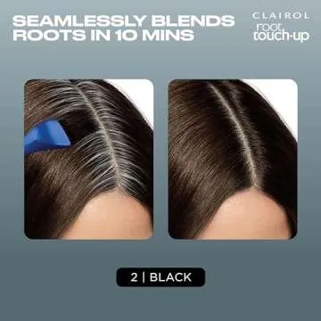 Clairol Root Touch-Up Permanent Hair Dye Pack of 2 Black, Easy to Use
