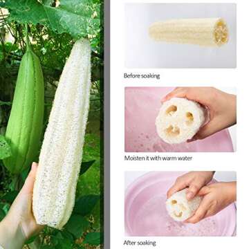 3 Pack Large Natural Exfoliating Loofah Sponges (9.1-10.6" Length)- Organic Spa Skin Care Cleansing Exfoliation Sponge Loofahs Luffa Loofa for Bath Shower Body Back Scrubber