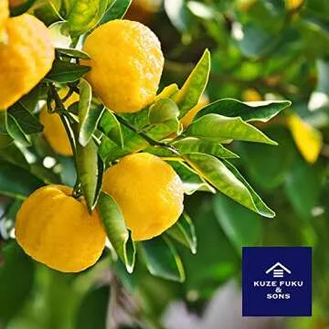 Kuze Fuku Yuzu Miso Sauce for Salads and Cooking