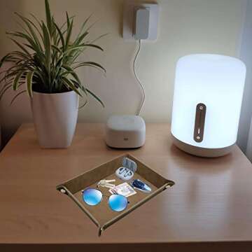 Socospace Valet Tray-leather and velvet,EDC Tray,Catchall Tray for Jewelry,Wallets,Watches,Key,Phones,Glasses, Perfect for Nightstand,Entryway Table,Desk,Key Tray,Home Decor（Grey）