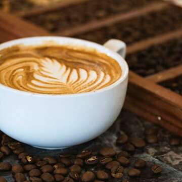 SongBird Coffee Bird-Friendly Nicaraguan Medium Roast 12oz