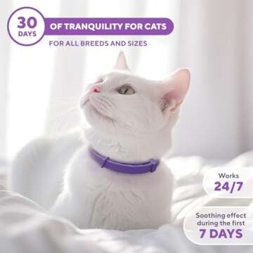 Calming Collar for Cats - Anxiety Relief & Stress Reduction