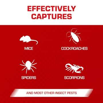 Tomcat Glue Traps Mouse Size with Eugenol for Enhanced Stickiness for Mice, Cockroaches, and Spiders, 6 Traps