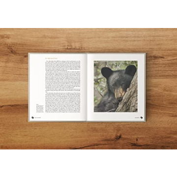 Deep in the Heart Texas Wildlife Book for All Ages