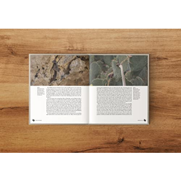 Deep in the Heart Texas Wildlife Book for All Ages