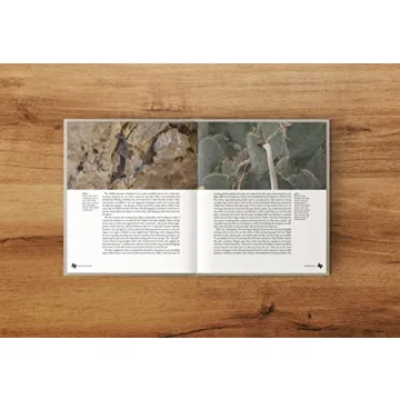 Deep in the Heart Texas Wildlife Book for All Ages