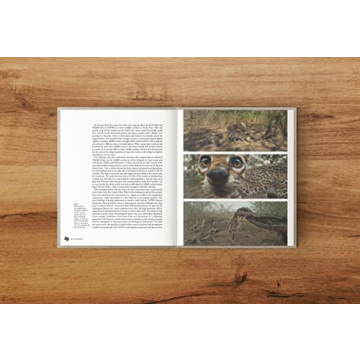 Deep in the Heart Texas Wildlife Book for All Ages